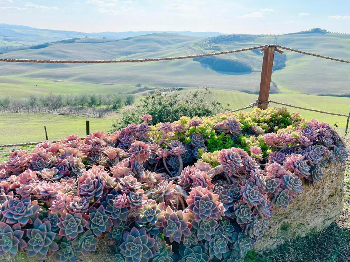 Podere Poggio Salto Apartamento Pienza Exterior foto