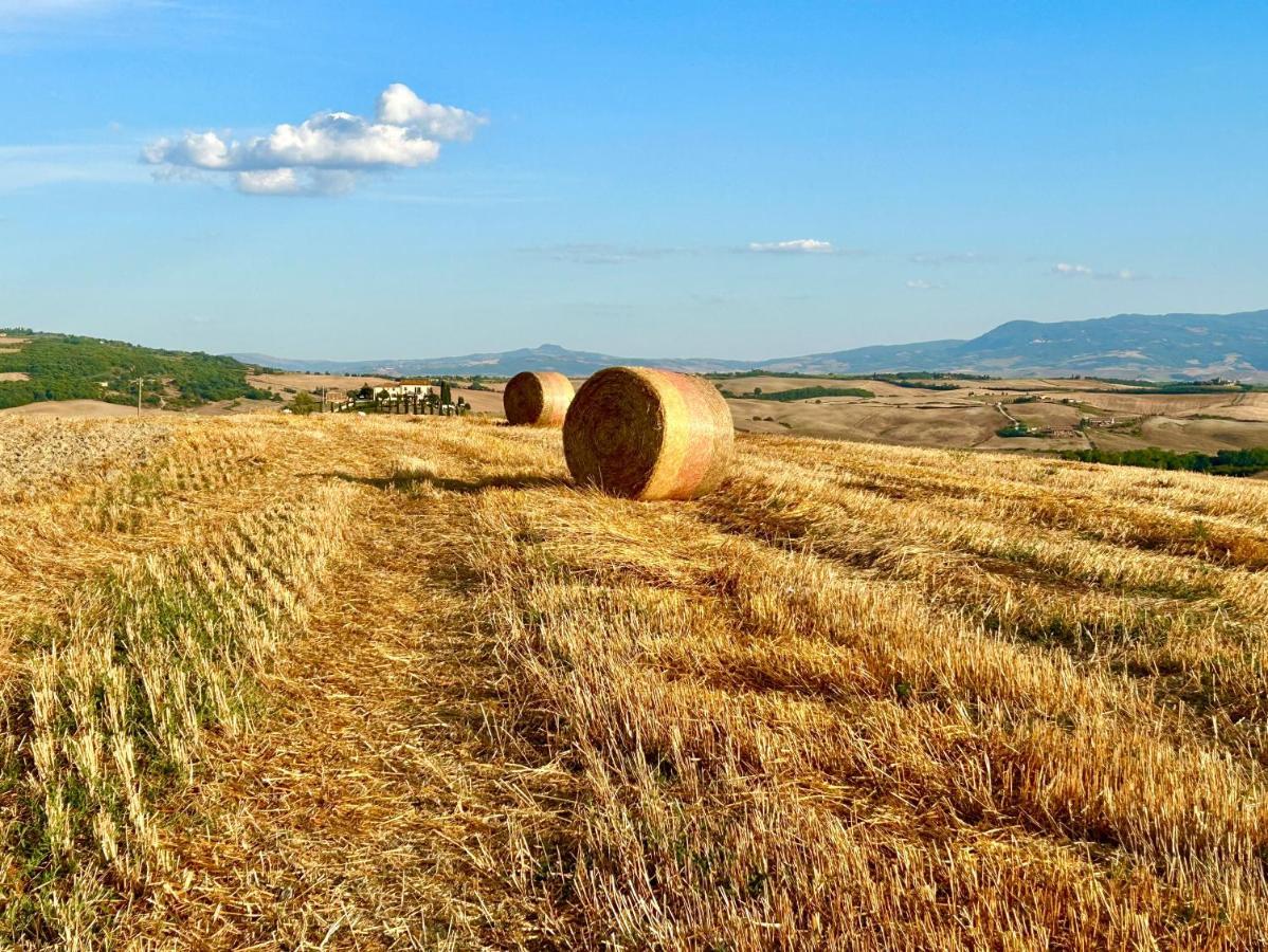 Podere Poggio Salto Apartamento Pienza Exterior foto