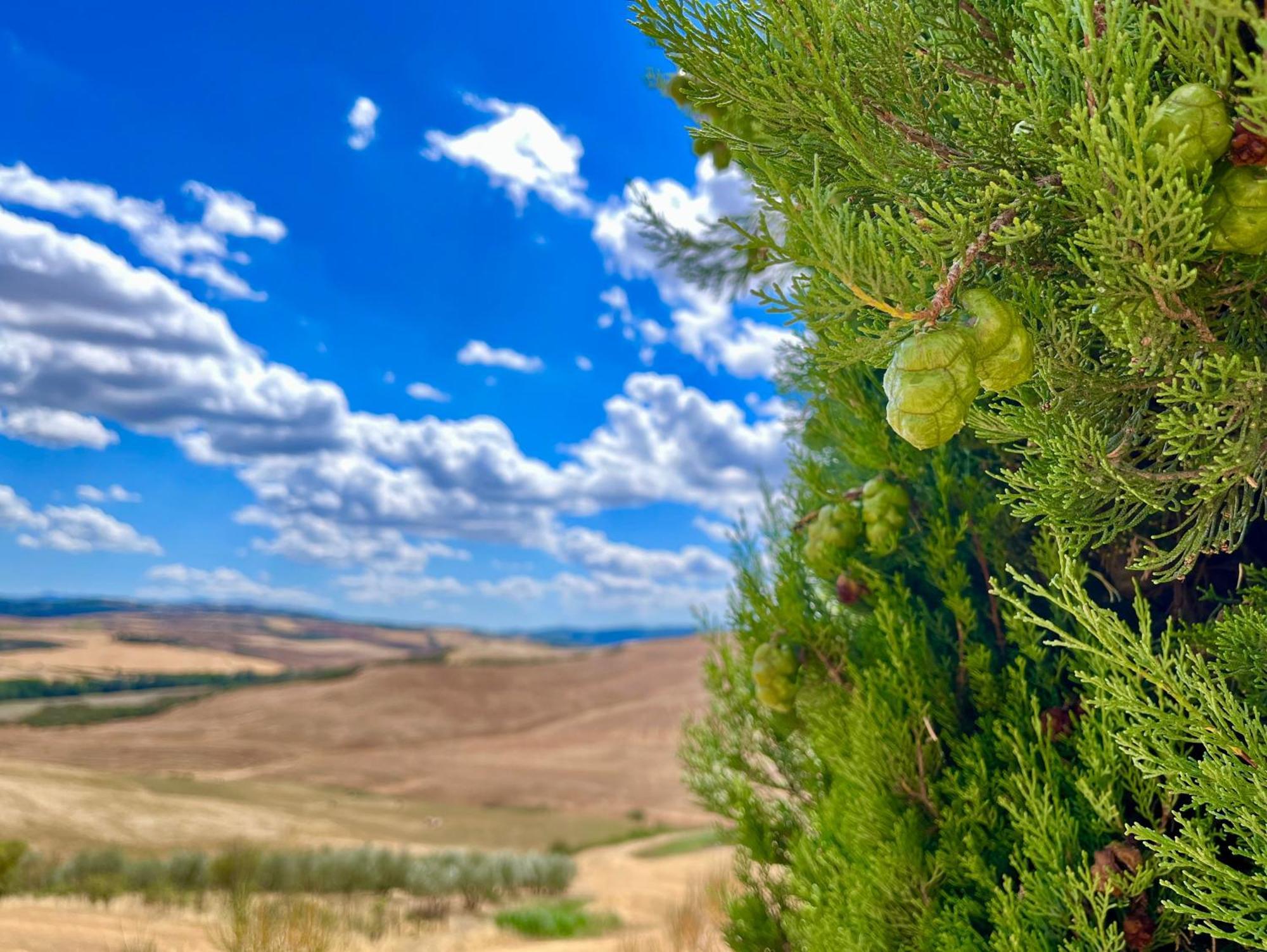 Podere Poggio Salto Apartamento Pienza Exterior foto