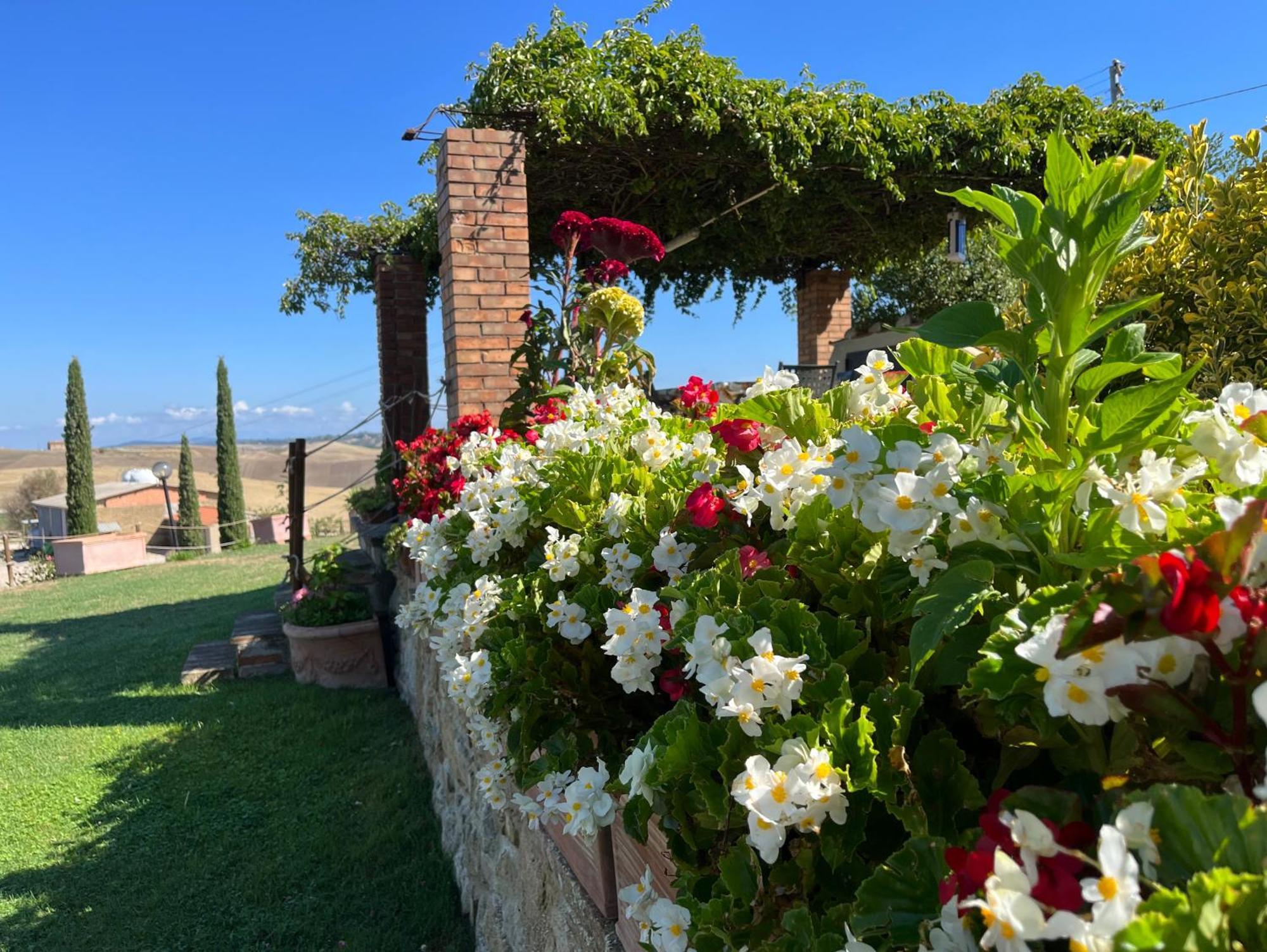 Podere Poggio Salto Apartamento Pienza Exterior foto